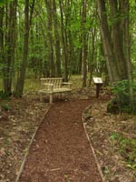 Bench on pathway