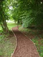 Curved Path through woodland