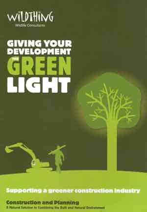 Giving Your Development The Green Light